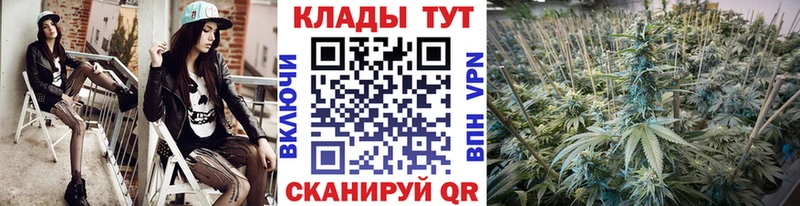 Купить наркотик Новоалтайск COCAIN Амфетамин мега зеркало Меф ГАШИШ