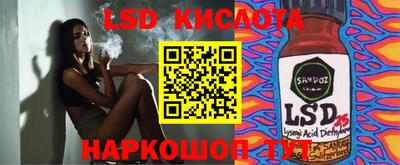 гашик Гусь-Хрустальный