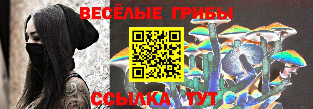Псилоцибиновые грибы ЛСД  Галлюциногенные грибы мицелий  Новоалтайск  Вход с VPN 